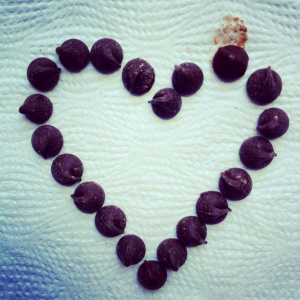 foto por mi. Pedazos de perfección, eso son las chispas de chocolate.